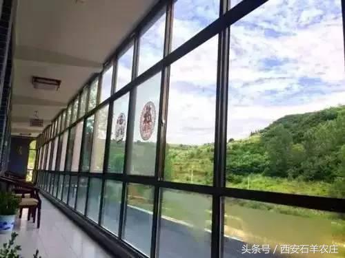 西安周边适合遛娃的度假山庄,西安周边两天一夜度假推荐