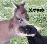 手机被熊孩子锁了,魅族手机密码冻结了怎么解锁