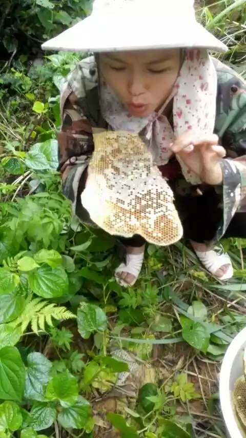 广西女孩选择嫁江浙沪不,广西女孩适合做老婆吗