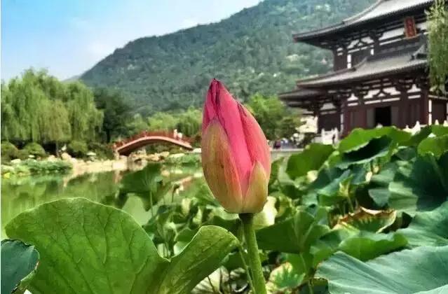 大西安真正的美景,大西安临潼