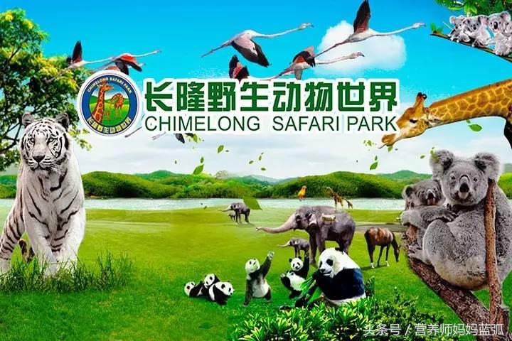 暑假长隆海洋王国游玩感受,海洋王国好玩还是长隆野生动物园