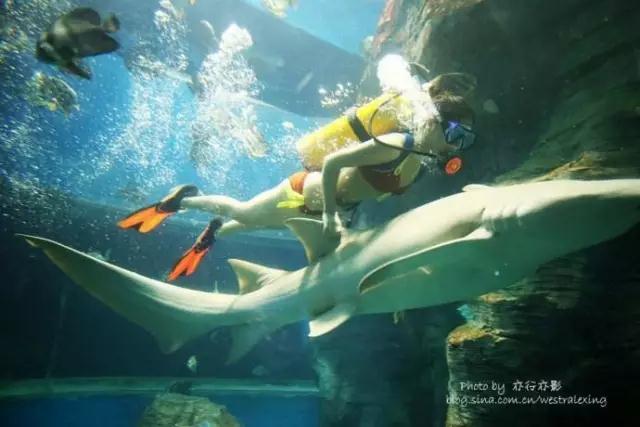 西南最大免费公园,西南片区最大公园