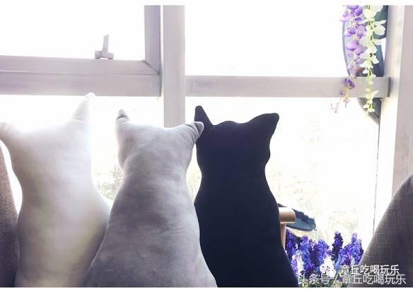 高颜值咖啡馆推荐,这家咖啡厅精致到每一处都是彩蛋