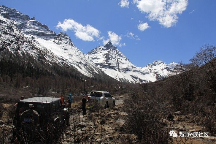 灏忛噾鐗涘巶,灏忛噾鐗涙満姊板巶