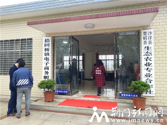 东鳄西稻的沙洋“爱恋”