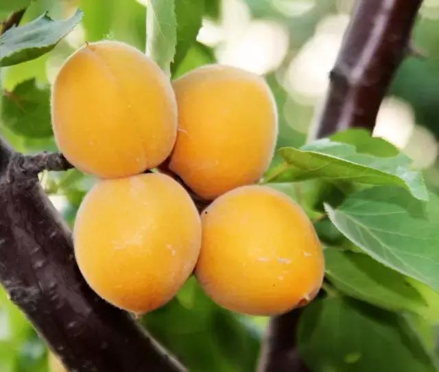 大西安真正的美景,大西安临潼