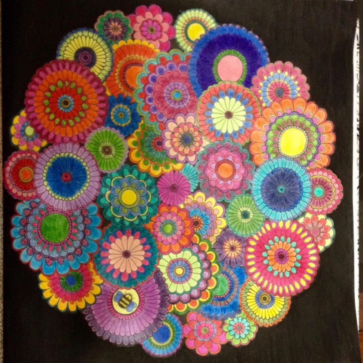 秘密花园2涂色成品,秘密花园涂色详细教程