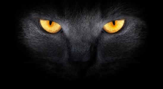 婊℃湀涓轰粈涔堢湅涓嶆竻缁嗚妭,婊℃湀鐪嬭捣鏉ヨ繕鏄槮鐦︾殑