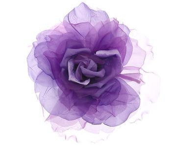 法国兰蔻城堡,兰蔻玫瑰城堡