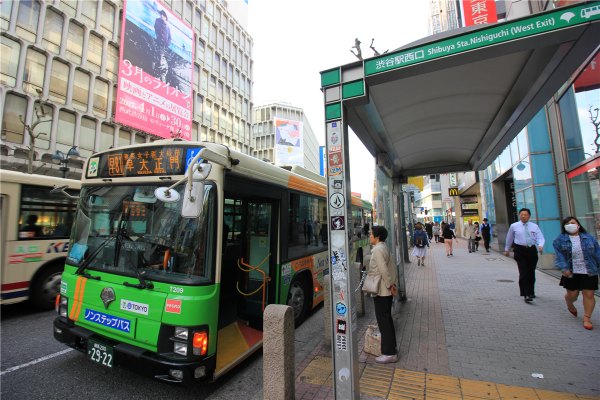 落英缤纷系列,落樱缤纷日本