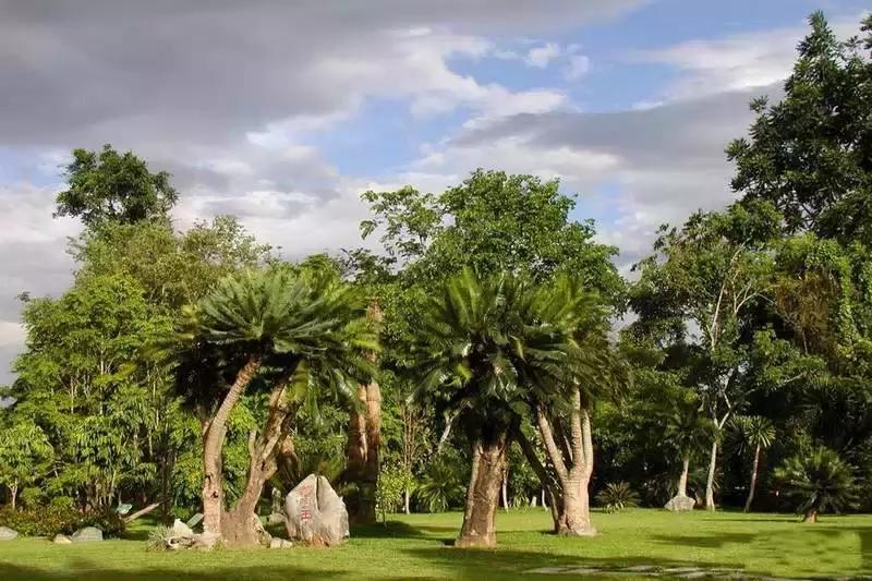 景洪泼水节注意事项,西双版纳泼水节如何不被泼