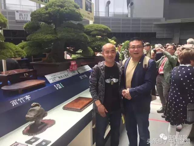 现在什么盆景最有前景,盆景创业未来前景如何