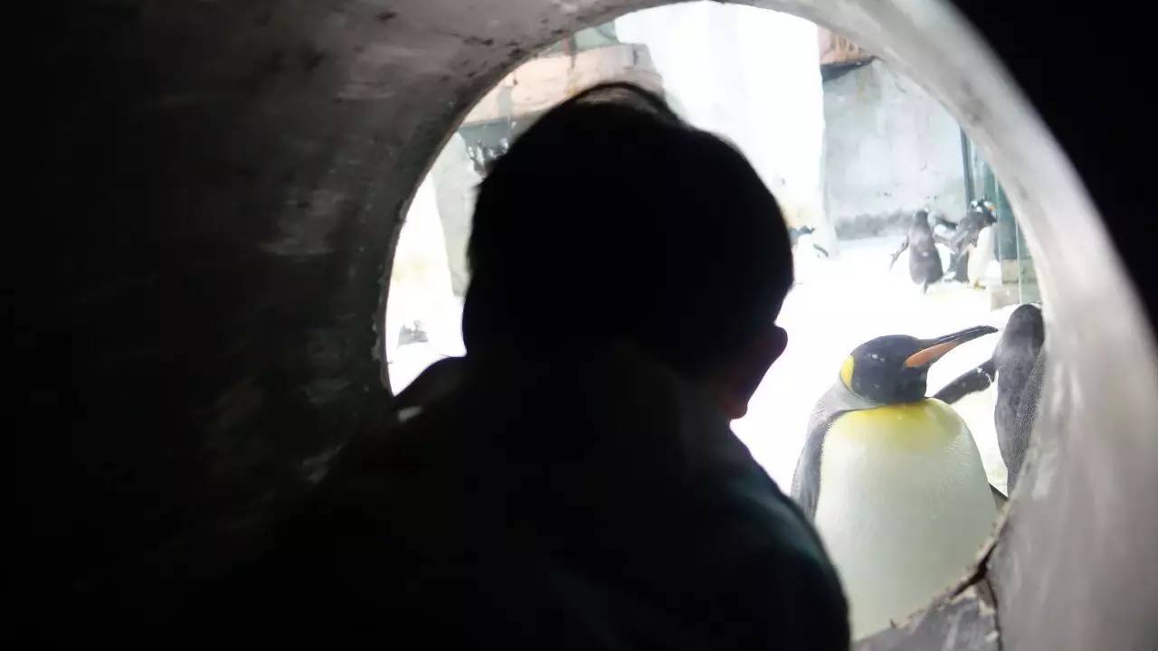 大连好玩的地方滨海路,大连东北路有什么好玩的