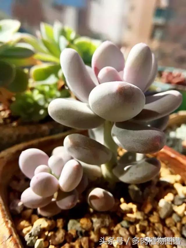 入坑半年的经历,入坑五个月总结