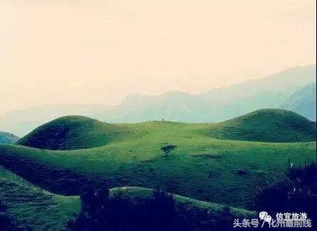 信宜旅游景点大全自驾游,信宜十大旅游景点大全