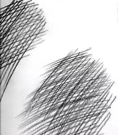 蔡海晨素描零基础入门系列教程,手把手教你从零基础开始学素描