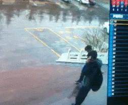 泰迪怎么会喜欢你,泰迪怎么让它信任你