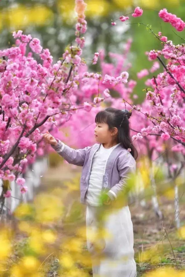 4月照片,4月的照片大全