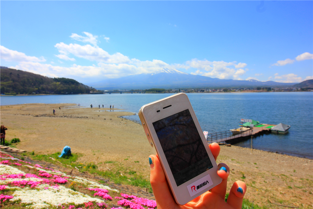 落英缤纷系列,落樱缤纷日本