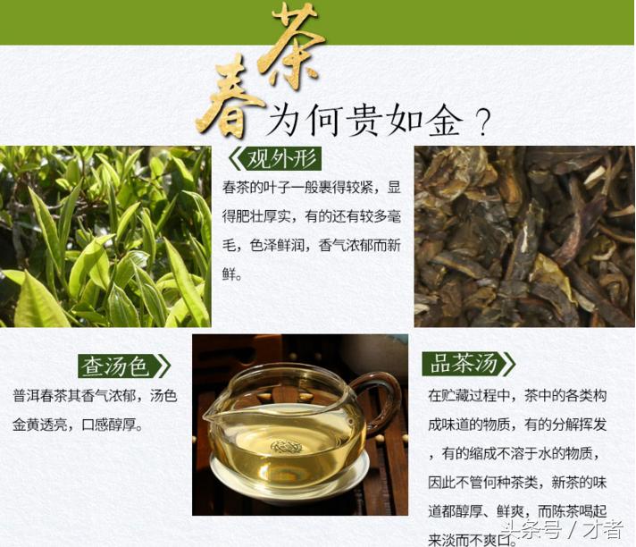 华山论鉴哪个专家最好,华山论道茶叶品牌