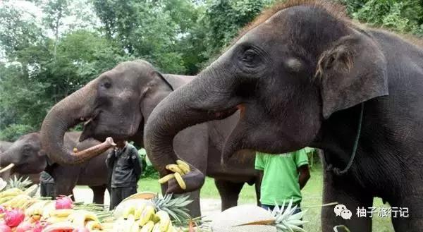 景洪泼水节注意事项,西双版纳泼水节如何不被泼