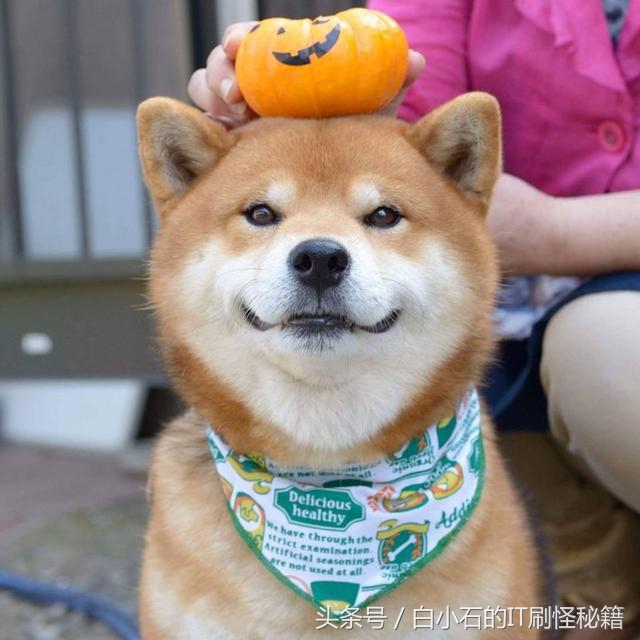 小乌龟svn使用教程,svn的使用技巧