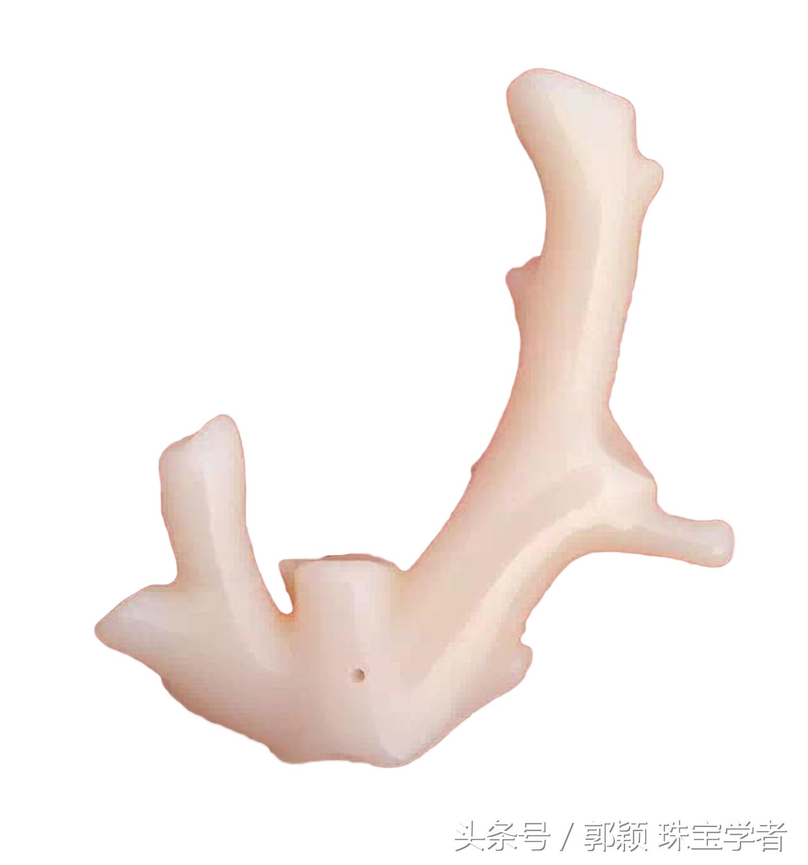 阿卡牛血红珊瑚自己戴可以吗,顶级阿卡牛血红珊瑚是哪个产地