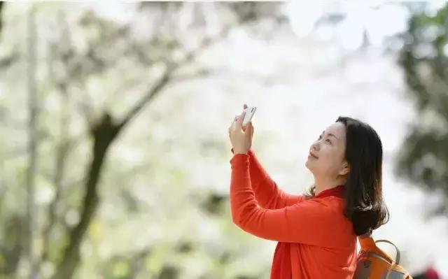 4月照片,4月的照片大全