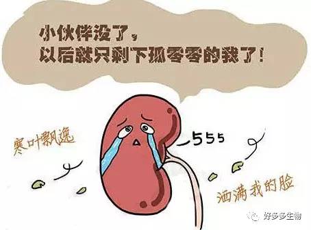 肾积水引发的尿漏怎么办,肾积水排尿困难吃什么药