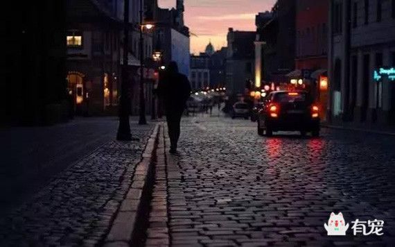 宠事儿：比空巢更可怕的，是虚伪的爱