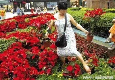 贪小便宜的下场和后果,贪小便宜的后果有哪些