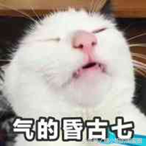 穿无袖的衣服有腋毛怎么办,穿无袖容易漏怎么办