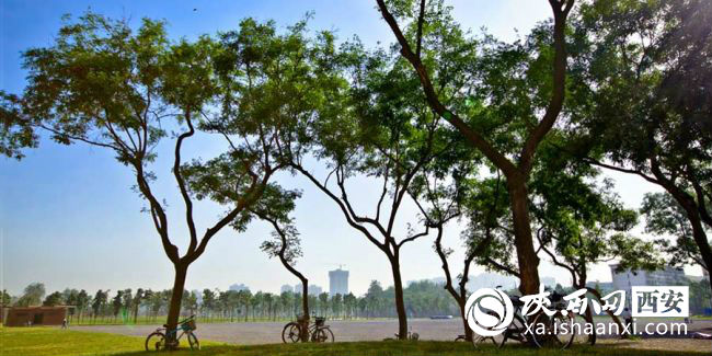 大明宫国家遗址公园简介,大明宫国家遗址公园的正门在哪里