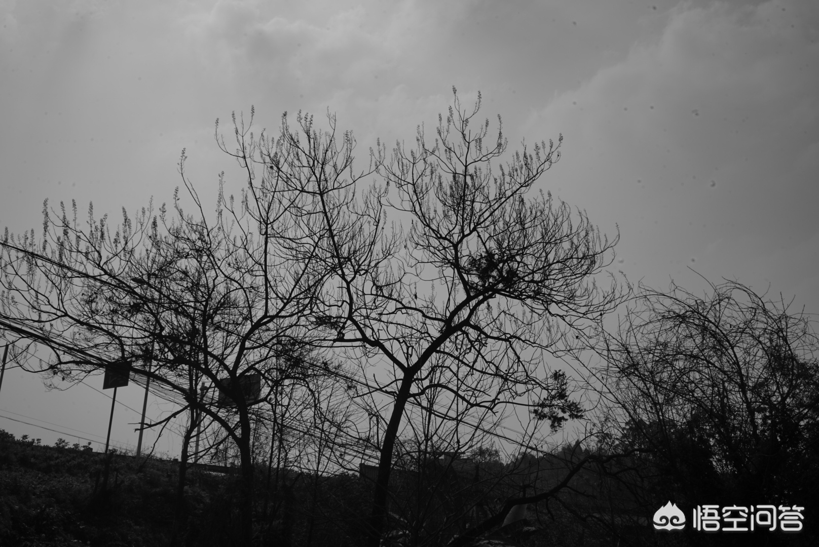 5分钟get十大摄影构图技巧,一般摄影构图常见的4种构图方法