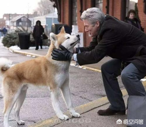 推荐一部你最喜欢的电影及理由,20年精选20部电影总有一部适合你