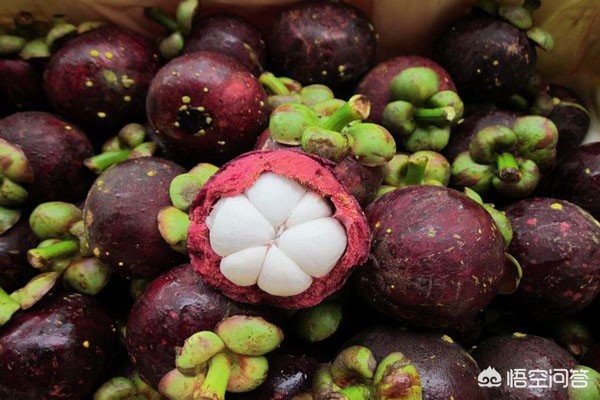 山竹为什么很贵科普,山竹为什么那么贵有什么神奇功效