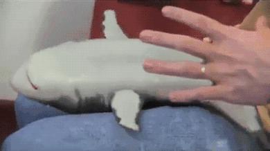 吃饭不积极的人思想真的不好吗,吃饭不积极思想有问题人生无意义