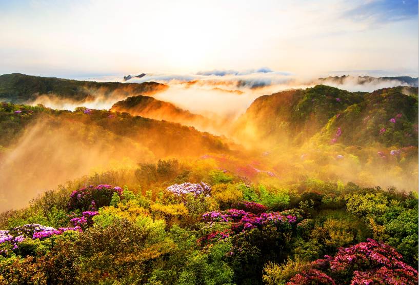 重庆五一节一日游景点推荐,五一重庆哪里玩