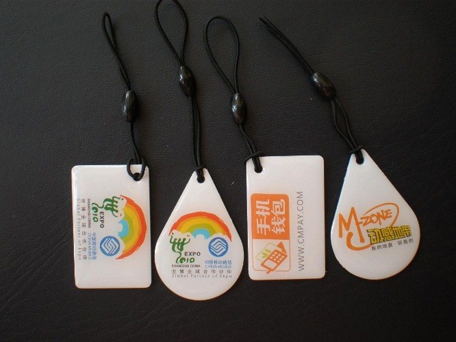 带你走进玫瑰的前世今生,带你走进汉字的前世今生