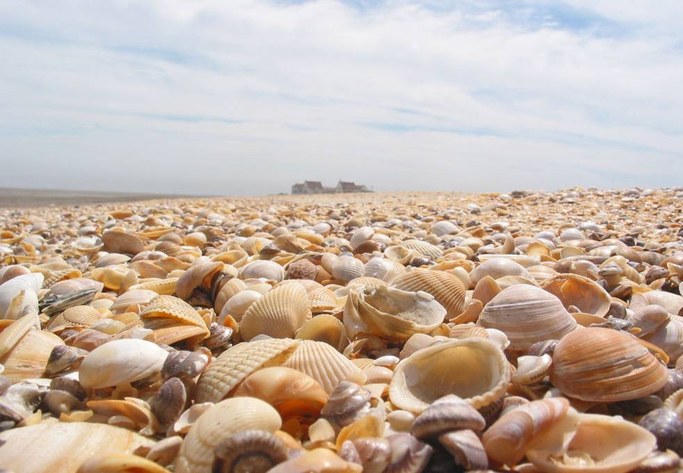 天津景区门票价格大全表,天津景区门票大全最新价格