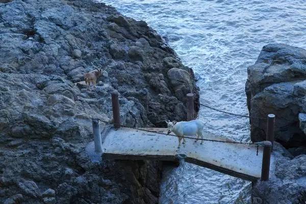 省下机票钱！杭州周边8个美到窒息的蔚蓝海岛，路费100+就能享受沙滩、海浪……完全不输国外！走起~