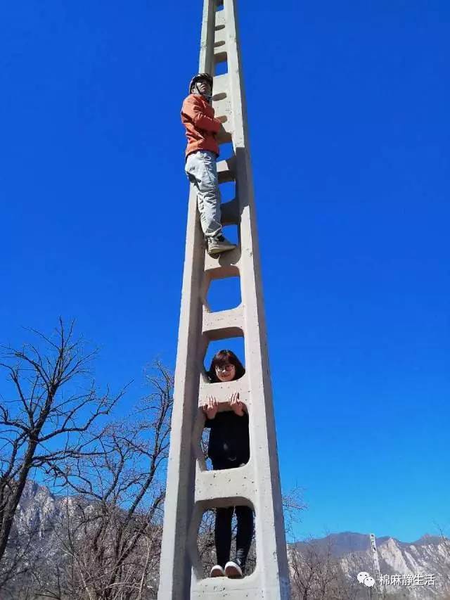 萝莉妹汉子心——欣欣欣