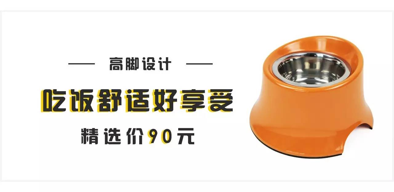 给狗喂饭要喂多少,给狗刷牙的知识