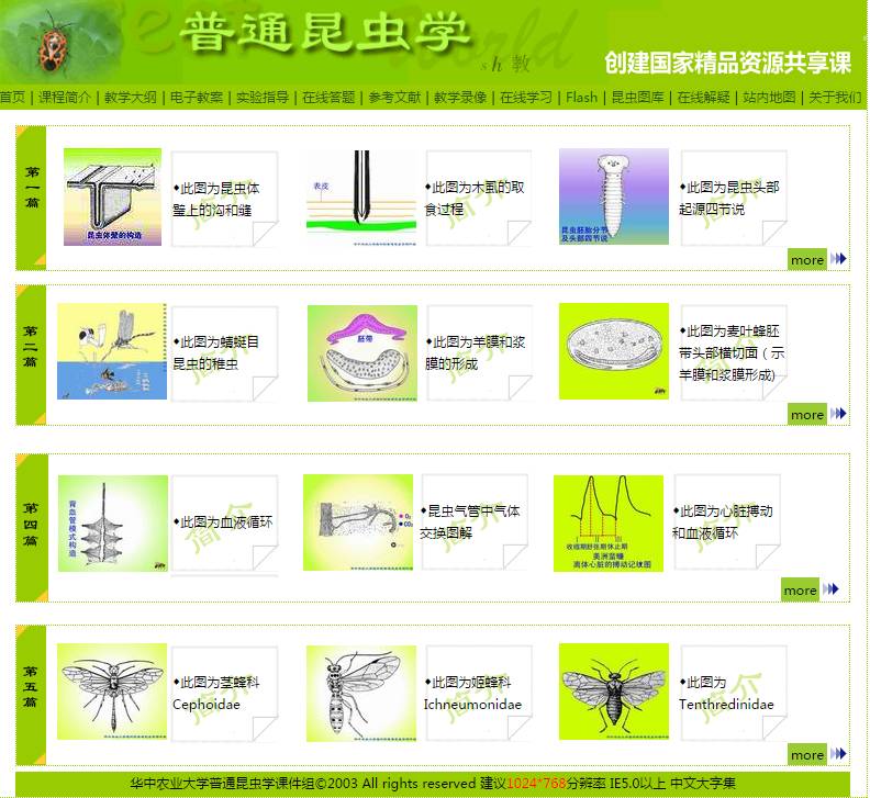 学习昆虫知识的网站,免费学习有趣的昆虫知识