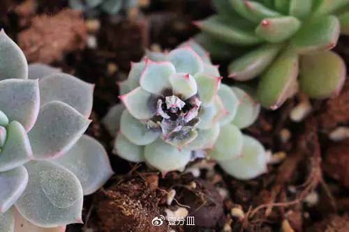 滚蛋吧，黑腐君！深度解析黑腐成因和解决之道