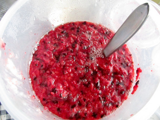 红曲米样品,红曲米价钱