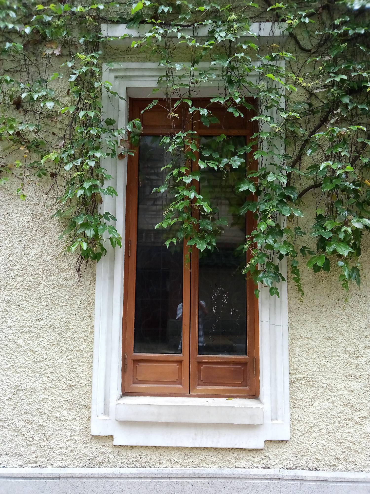 魅蓝e2最好用的系统版本,魅蓝E2测评