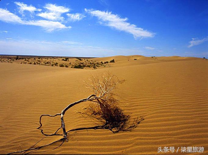 沙漠沙尘暴解密,大漠戈壁与沙尘暴