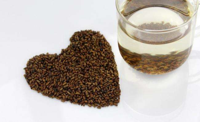 清肝明目的草药决明子,炒决明子润肠通便