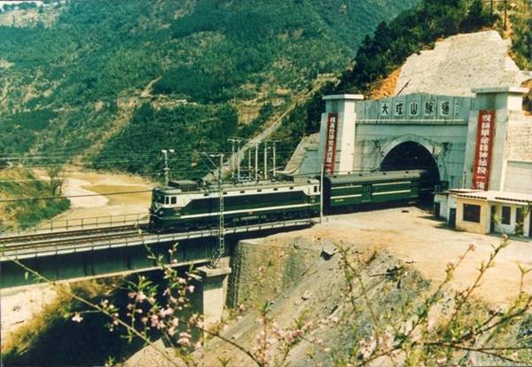 每日花语100句,每日花语蒲公英